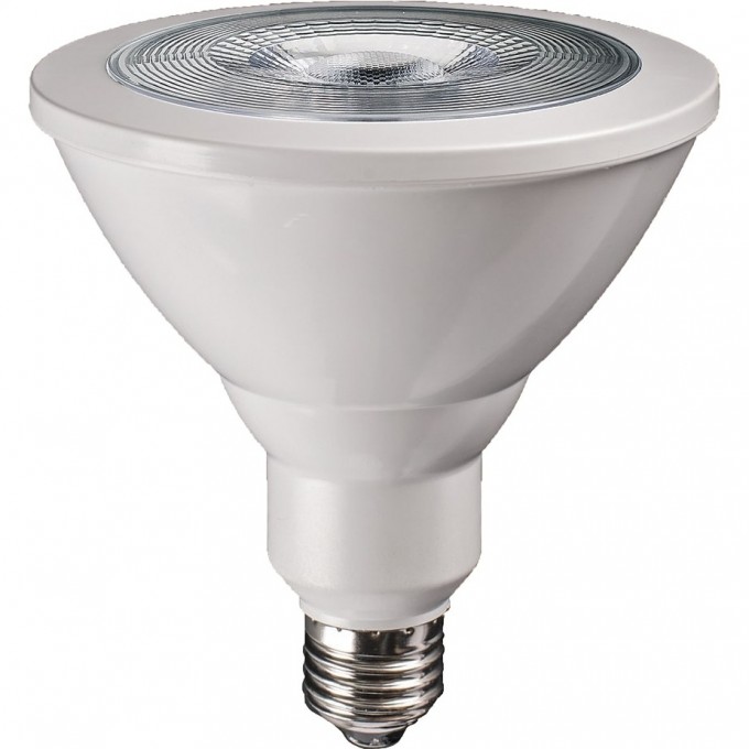 Лампа для растений JAZZWAY PPG PAR38 Agro 15w E27 IP54 5004702 Лампа для растений JAZZWAY PPG PAR38 Agro 15w E27 IP54 5004702