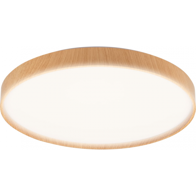 Светильник JAZZWAY PPB PINE 72w DIM 3000-6500K IP20 D485x75 5052680 Светильник JAZZWAY PPB PINE 72w DIM 3000-6500K IP20 D485x75 5052680
