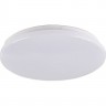 Светильник светодиодный настенно-потолочный JAZZWAY PPB STARWAY-2 12W 4000K IP20 5025455